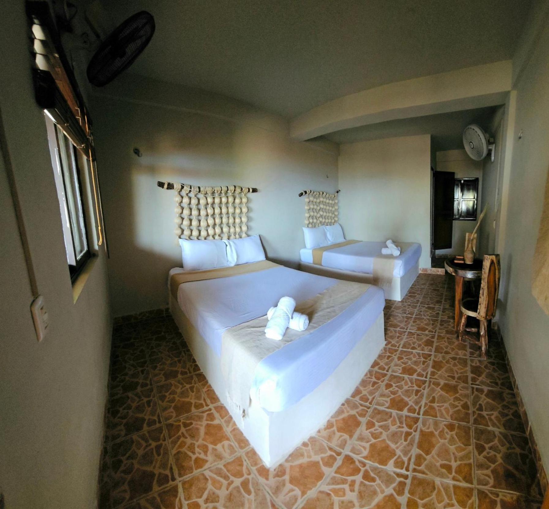 Cabanas Playa Condesa 图卢姆 外观 照片