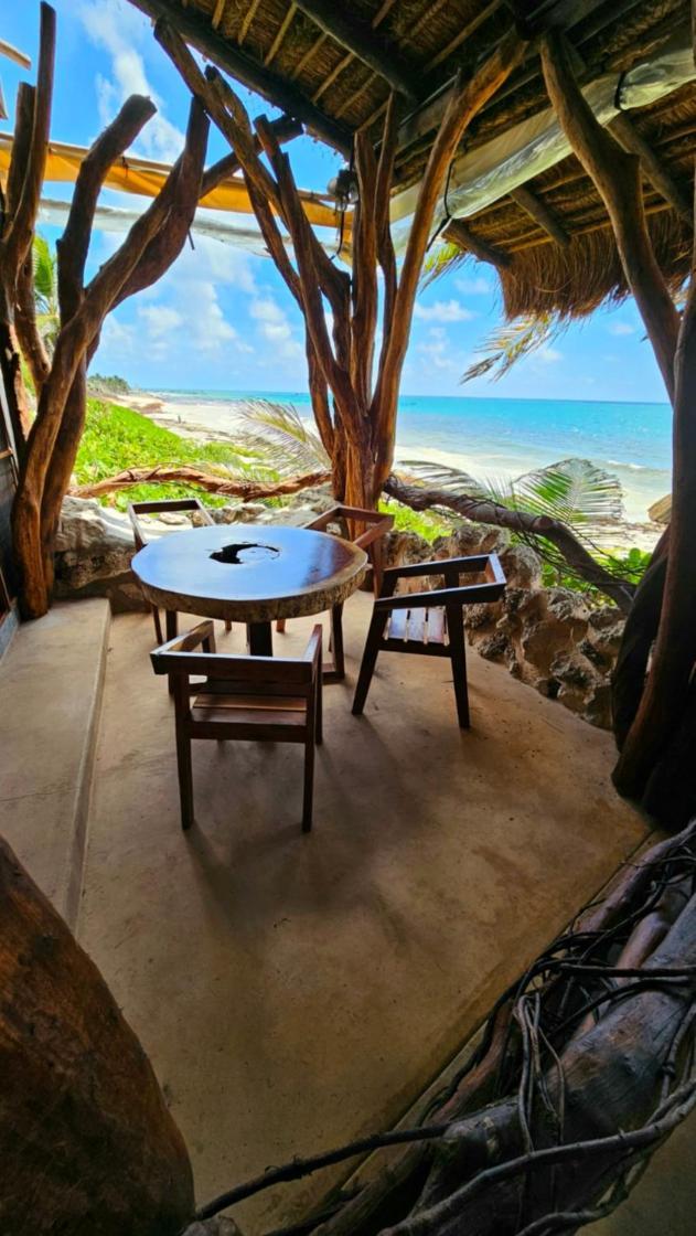 Cabanas Playa Condesa 图卢姆 外观 照片