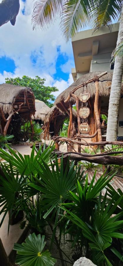 Cabanas Playa Condesa 图卢姆 外观 照片