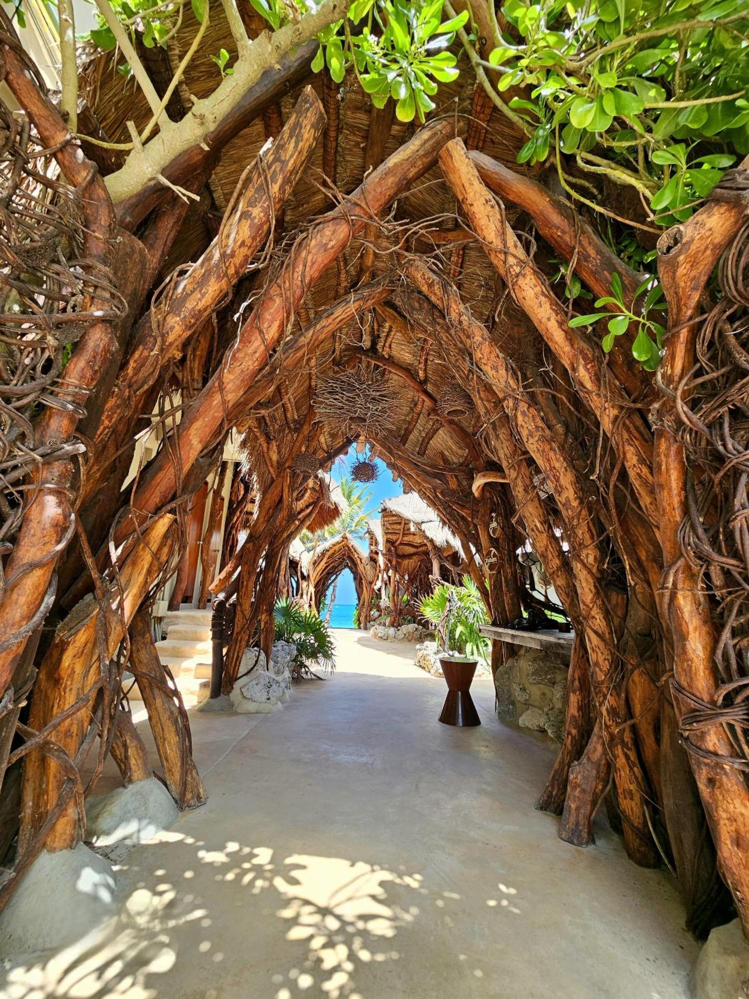 Cabanas Playa Condesa 图卢姆 外观 照片