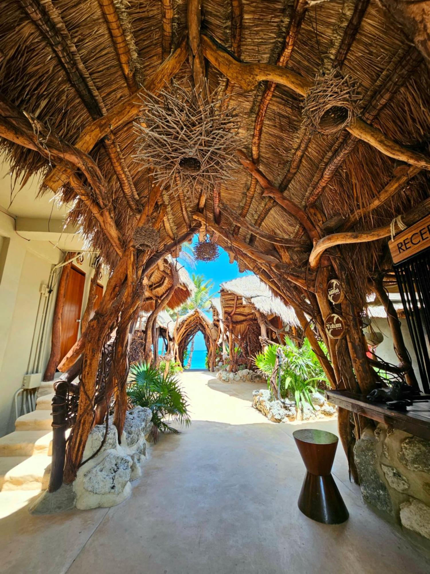 Cabanas Playa Condesa 图卢姆 外观 照片